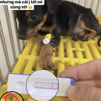 Điều Trị Nội Trú