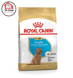 THỨC ĂN CHO CHÓ ROYAL CANIN POODLE JUNIOR 500G
